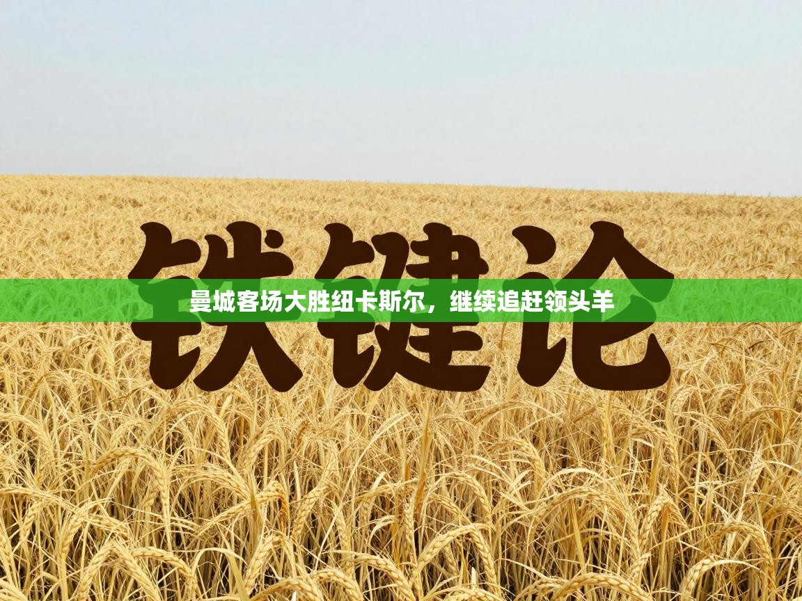 曼城客场大胜纽卡斯尔，继续追赶领头羊